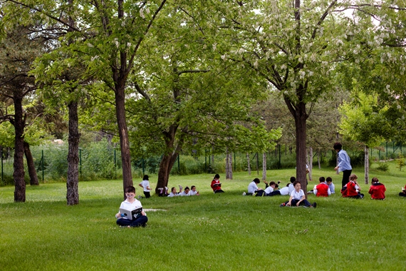 Açık Alanda Böcek İlaçlamaları