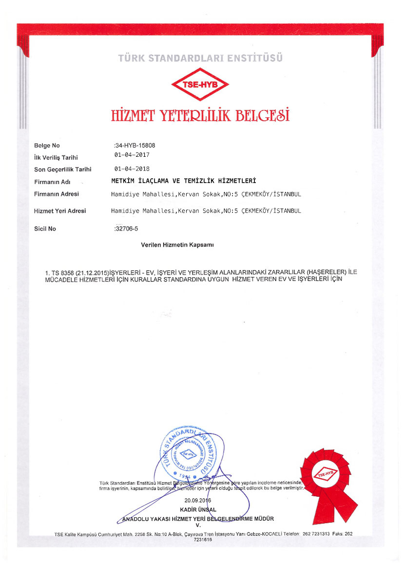 Yaz Döneminde En Çok Karşılaşılan Haşereler