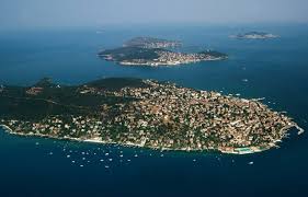 Forumlarda ilaçlama