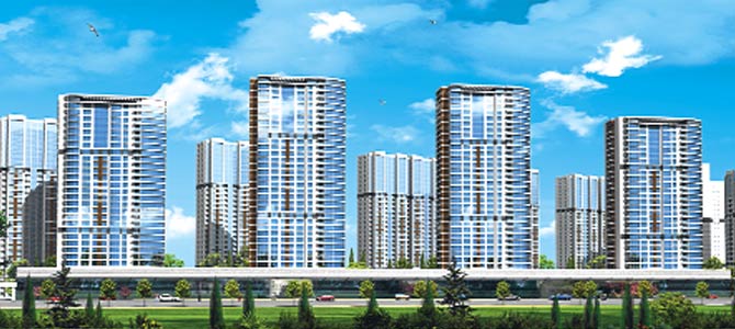 Binalarda Böcek İlaçlama