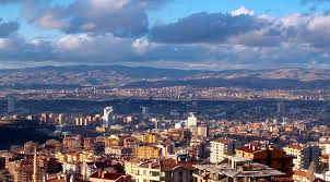 Avcılar Böcek ilaçlama