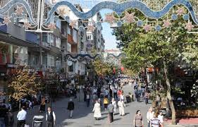 Bağcılar Böcek ilaçlama