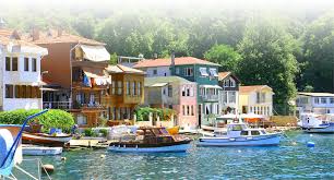 Beykoz İlaçlama Firmaları