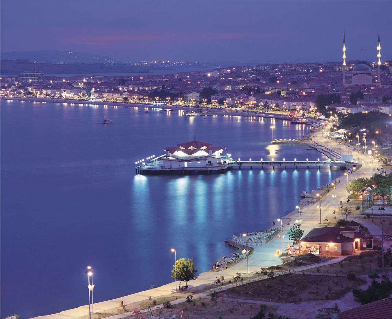 Evlerinize ilaçlama yaptırmalısınız