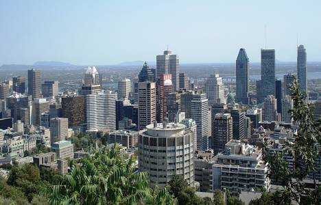 İstanbul Ataşehir Fare ilaçlama