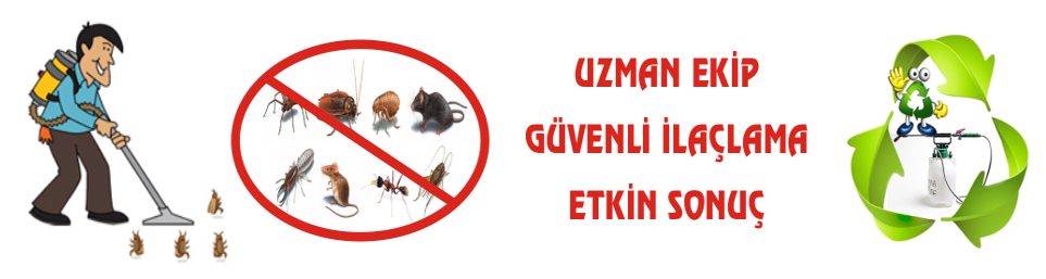 Sağlığınız İçin Haşerelere Son