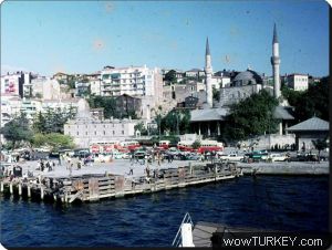 İstanbul örümcek ilaçlama