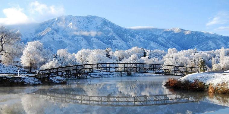 Böcek İlaçlama Uygulamalarında Kaliteli Ürünlerin Farkı