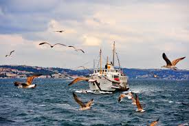 İstanbul İlaçlama İle Pirelerden Kurtulabilirsiniz