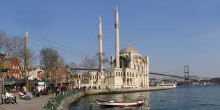 Ortaköy ilaçlama