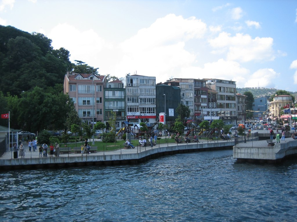 Sarıyer Pire İlaçlama