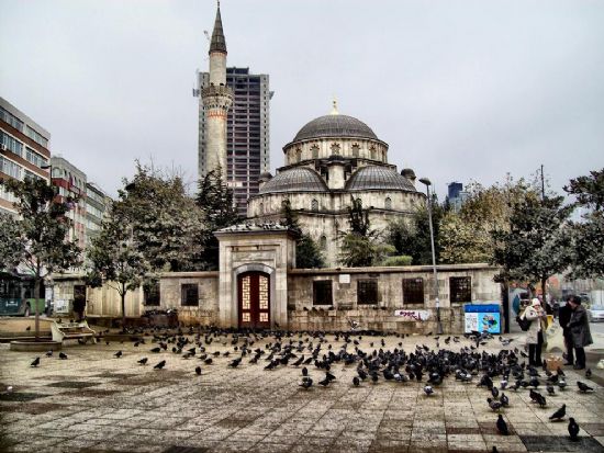 Farklı Böcek İlaçlama Firmalarından Farkımız