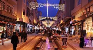 Ümraniye Pire ilaçlama