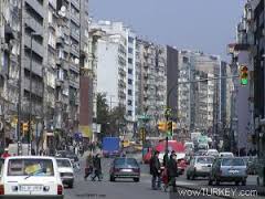 Şişli Pire İlaçlama